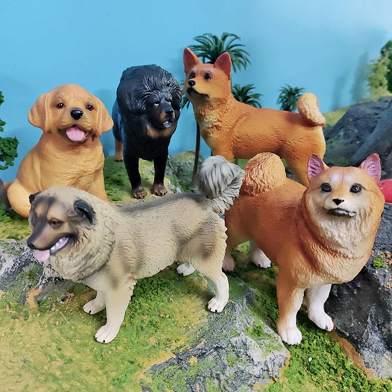Lifelike Plastic Dog Models Featuring Shiba Inu Labrador Retriever And Tibetan Mastiff Great For Home Decor And Children's Learning Activities