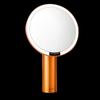 AMIRO LED HD Smart Makeup Mirror CN plug (adapter included)