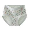 Damen Slips aus reiner Baumwolle mit hohem Bund für Mittelalte und Ältere; Übergröße erhältlich