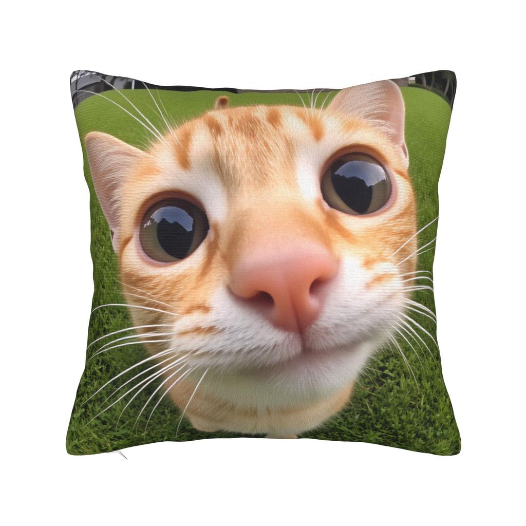 Katzen-Memes Lustiger Meme-Druck Kissenbezug Weicher Kissenbezug für Sofa Auto Heimdekoration Modischer Kissenbezug