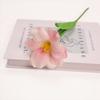 5pc/set Simulation Tulip Fake Flower Artificial 5-Head Tulips Bouquet Luxury Silicone Fake Flowers Wedding Party Decorative New