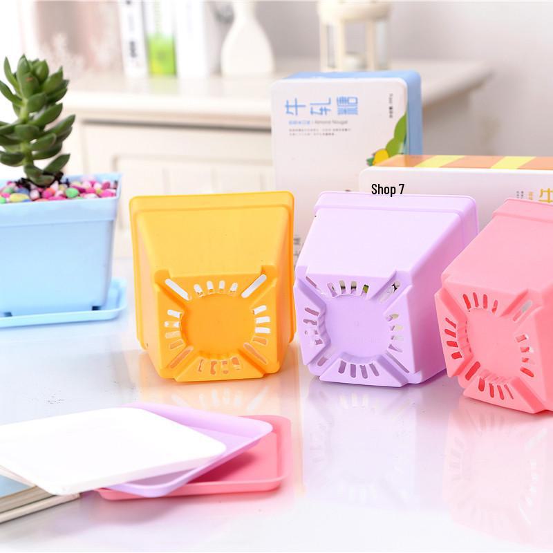 Grandi vasi colorati quadrati da 10 cm per piante grasse - plastica nera