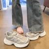Single Mesh Breathable Mesh Sports Leisure Fashion Internet Celebrity Women's Shoes 2025 Spring and Summer New Muffin Heightening Dad Shoes