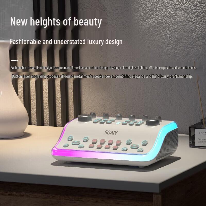 Soaiy SG60 Home KTV All-in-One Speaker with Dual Microphones