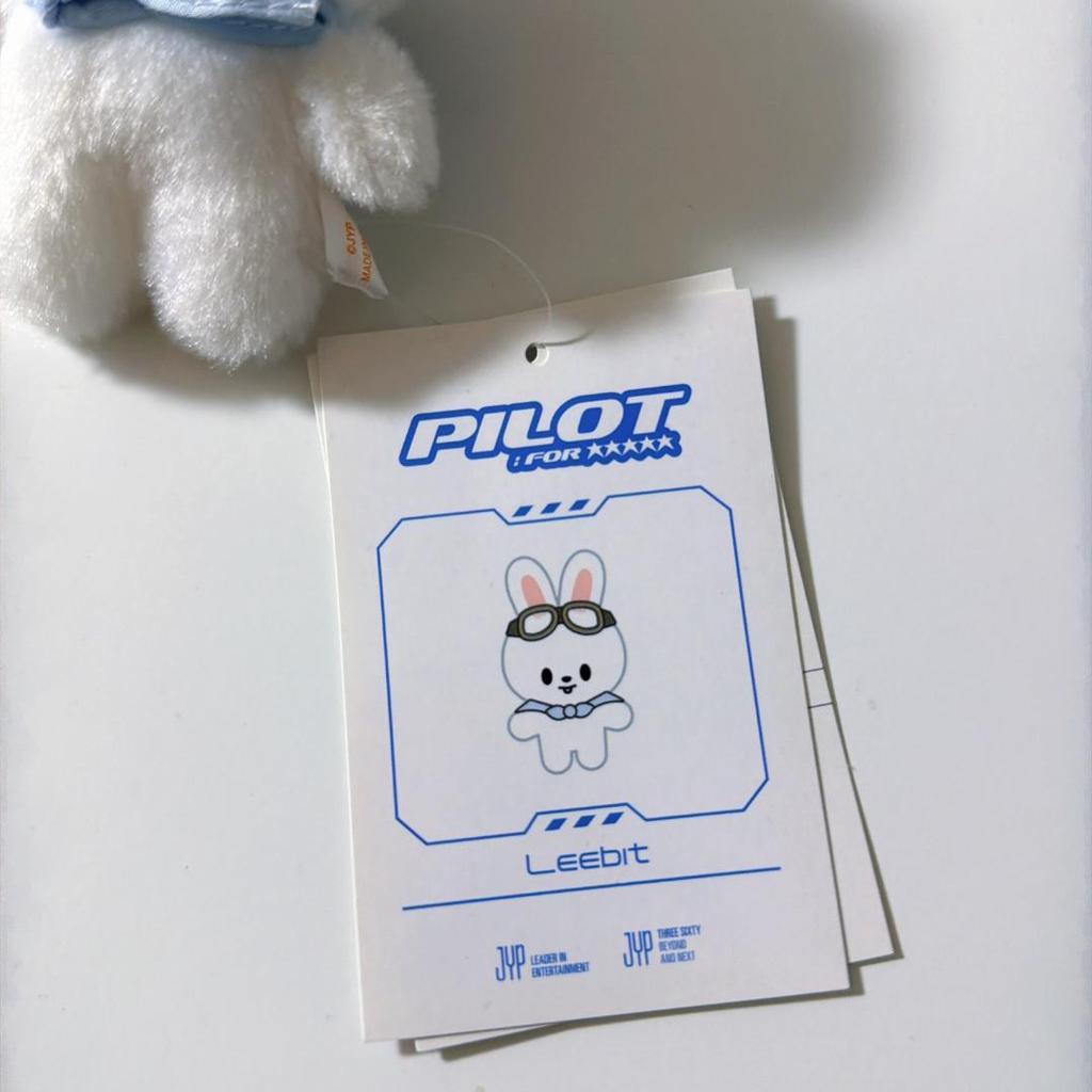 [USED] Straykids Pilot Penmi Plush Toy 10cm Reno