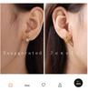 INS Style 18K Gold-Plated French Zirconia Earrings: Butterfly & Rabbit Design for Women - Lightweight, Colorfast, High-End Feel