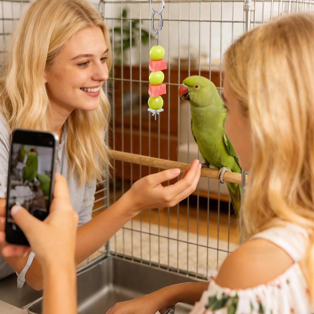 Stainless Steel Fruit Skewer for Bird Feeder New Bird Toy Spear Hanging Holder Pet Parrot Parakeet Small Animal Parrot Toy Fork