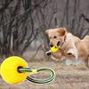 Pet Ball Toy Protruding Surface Exercise Jaw Dental Care Bounces Bite Engaging Dog Chew Ball Pet Supplies