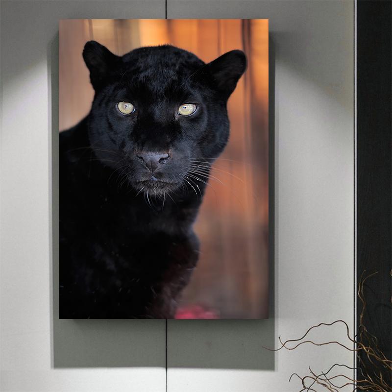 Cool Black Panther Wild Animal Staring Canvas Painting Wall Art Wild Cats Jaguar Pictures Posters for Living Room Decoration