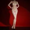 Full Body Glossy Ultra-Thin Garter Stockings Set Sexy Horse Oil Mood Bodysuit Silky Lingerie