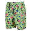 Regatta Mens Hamza Flamingo Swim Shorts