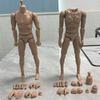 16 Scale Male Nude Body Muscular Mans Action Figure For Tc Dragon Soldier Toy