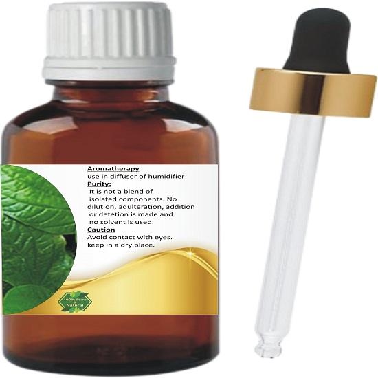 Levenmooi Betel Leaf (Piper betle L.) Pure & Natural Therapeutic Grade Essential Oil Glass