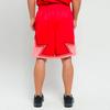 Jordan NBA All Star Edition Swingman Shorts Casual Shorts Men's University Red CJ1068-657