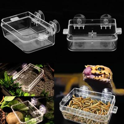 2x Tortoise Gecko Reptile Feeding Terrarium Water Dish Bowl