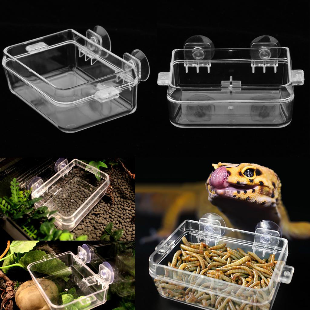 2x Tortoise Gecko Reptile Feeding Terrarium Water Dish Bowl