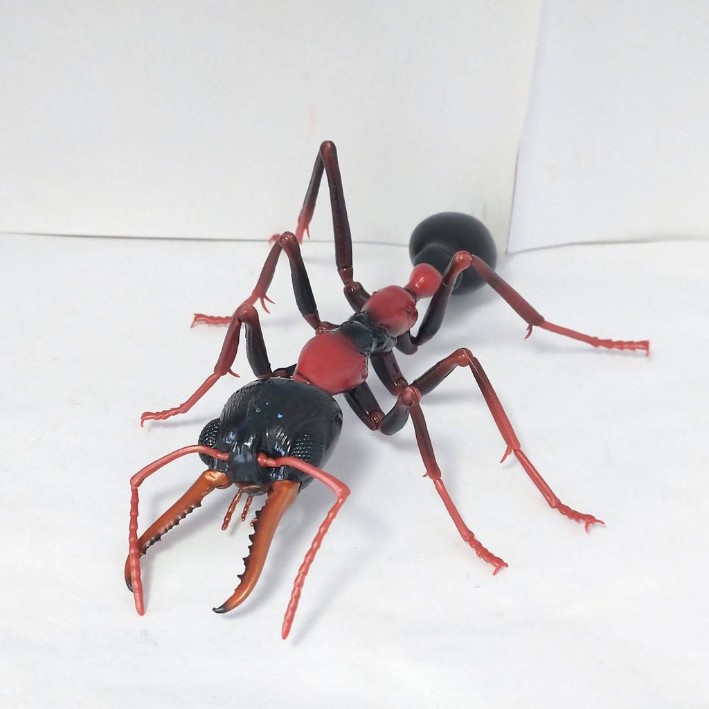 Original Simulation Insect Realistic Wasp Myrmecia Bulldog Ant Premium Lifelike Collect Model Toys Gifts