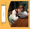 Soft Cute Cartoon Animal Hand Warmer 3-in-1 Pillow Blanket for Office Naps
