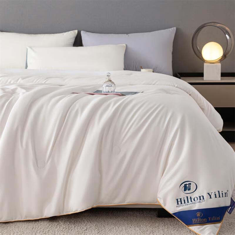 

HANDUNYOUA+ Pure Mulberry Silk Duvet Insert