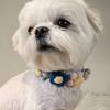 Pet Woven Collar Woolen Collar Cute and Beautiful Pet Collar Cat Collar Dog Neck Collar