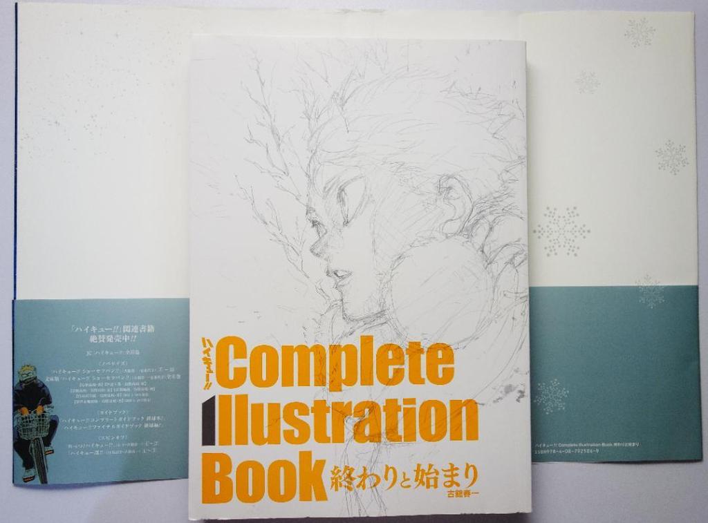 [USED] Haikyu!! Complete Illustration Book by Haruichi Furudate