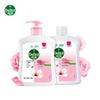 Moisturizing Antibacterial Hand Soap Set