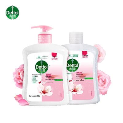 Moisturizing Antibacterial Hand Soap Set