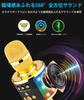 Verkstar Karaoke Microphone, Bluetooth Wireless Microphone with LED Light and Earphone Jack, TF Card Compatible, Compatible with Android, iPhone, and