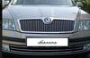 SKODA OCTAVIA - CHROME STRIPS FOR THE GRILL
