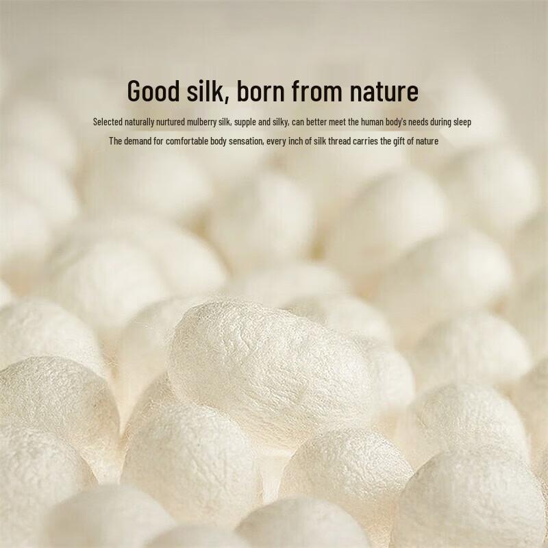 Mercury Home Textiles 100% Mulberry Silk Mother-Child Duvet