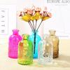 Embossed Glass Vase for Fresh or Dried Flowers - Home Hydroponics Decor