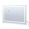 Lighted Makeup Mirror 3 Color w/ Bluetooth USB Desktop Wall-mount 21.7in