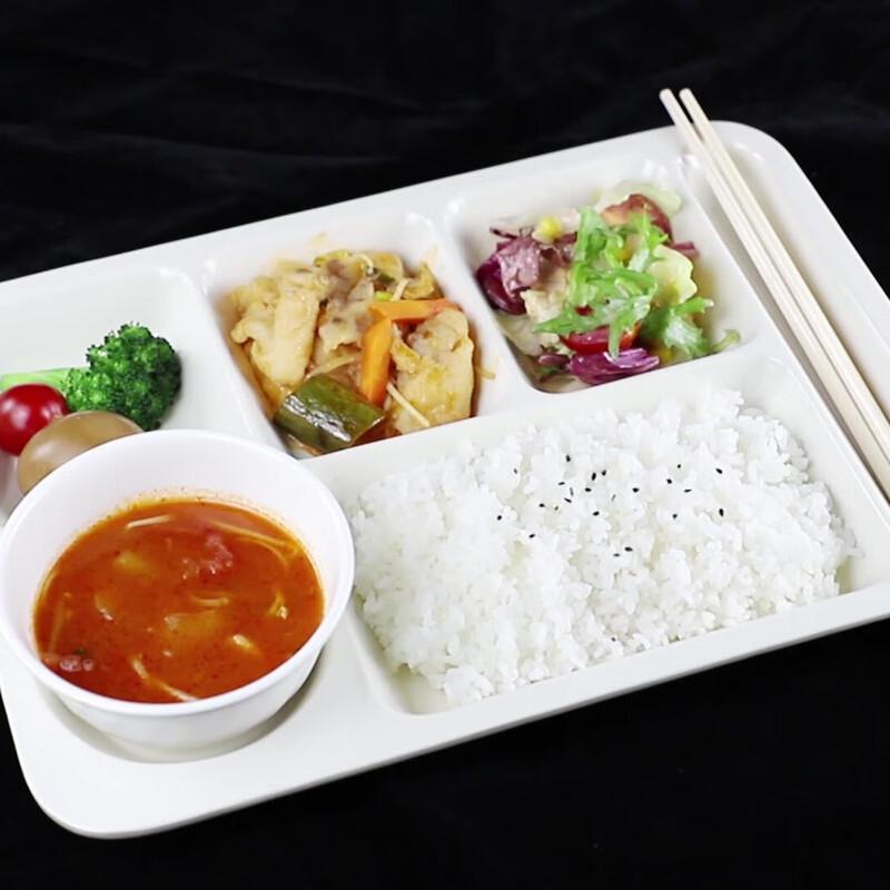LIJIA FITMENT Melamine Six-Compartment Lunch Tray