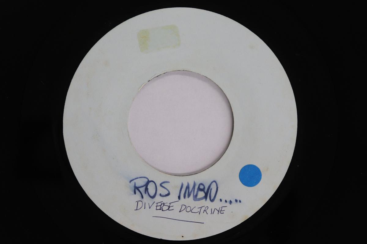 

7inch Record RAS IBUNA - Diverse Doctrine / Pay Them Dues NONE NOT ON LABEL UK Reggae, Ska & Dub Used