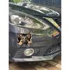 Decorative Decals 3D German Shepherd Car Sticker Set, Vinyl Material, Suitable for Decorating car Bodies, Windows, Rear Windshield, Bumpers, Walls,