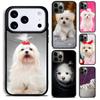 Cartoon Maltese Dog Soft Phone Case For iPhone 17 16 15 14 13 12 11 Pro Max Plus 17Air Soft Silicone Cover