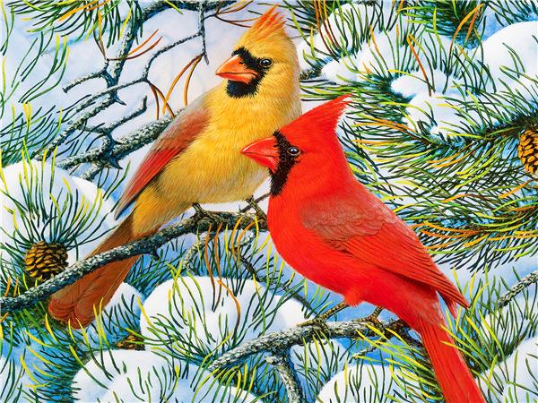 Diamond Art Painting Bird Snow Home Decor Square/round Embroidery Mosaic Animal Winter 5d Diy Wall Sticker