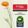 KADAX Stütze Ständer Für Pflanzen Blumen Rosen Stahl