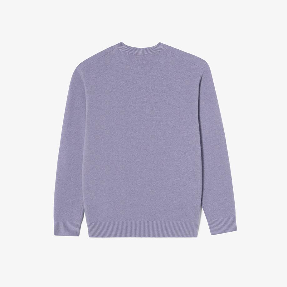 Lacoste Men's Basic Crew Neck Pullover AH496E-54NGFU
