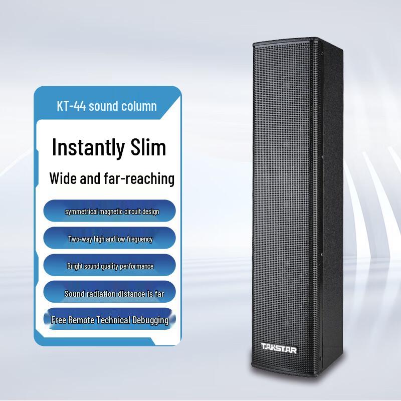 TAKSTAR 100sqm Conference System