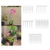 Climbing Plant Stakes Space Saving Racks Reusable Easy Install Tomato Twist Stakes for Indoor Fruits Vegetables Yard Flowers