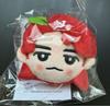 [USED] Mrs. GREEN APPLE Mrs. Wakai Seoul Concert Plush Toy Kili