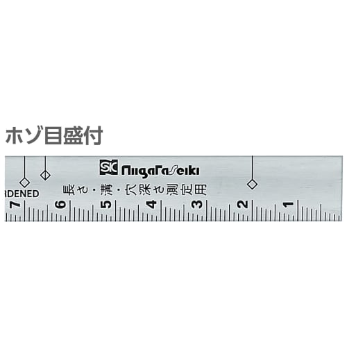 Niigata Seiki SK Made in Japan Silver Curved Ruler, Red Dragon, Quick Graduations, 30cm Square Thickness, SC-30CKD