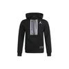Jordan Sweatshirts Men's Black Hooded Moderate Regular CK6454-010