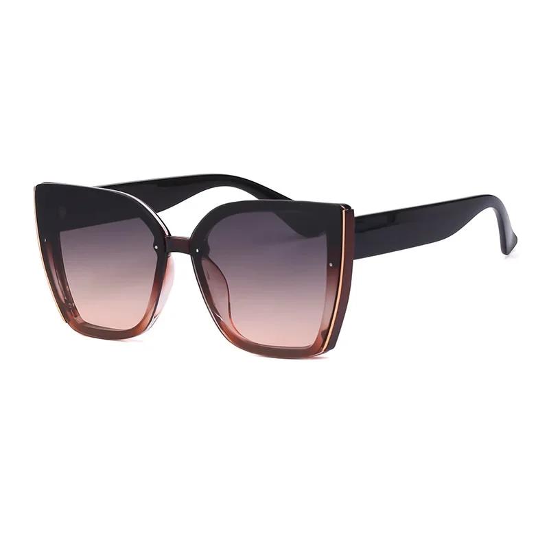 Oversized Cat Eye Sunglasses Women 2024 Luxury Brand Fashion Large Frame Square Sun Glasses for Men Retro Trendy Cateye Eyewear