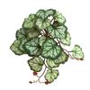 Plant Artificial 3d Printing Ipomoea Batatas Leaf Decor Home Interior Decor