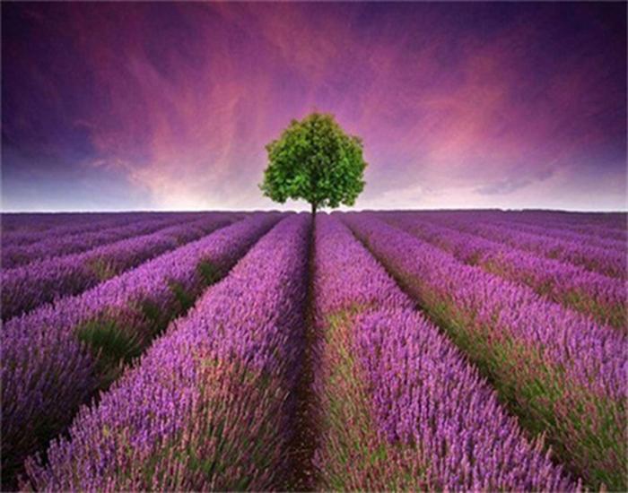 RUOPOTY Painting By Number Lavender Landscape Handpainted Unique Gift Picture Coloring By Numbers Balloon Children's Room Decor