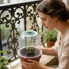 Plant Frost Cover Transparent Flower Frost Cover Flowerpot Cold Protector for Greenhouse Outdoor Indoor Garden Balcony Nursery