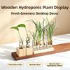 Home Decoration Hydroponic Flower Vase Minimalist Hydroponic Flowerpot  Tabletop Display