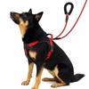 Multi-Point Adjustment Anti-Pull Dog Harness Reflective Dog Leash Dog Chest Strap  Daily Walks